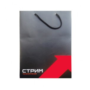 Изготовление бумажных пакетов в корпоративном стиле