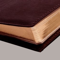 Недатированный ежедневник PRESTIGE коричневого цвета
