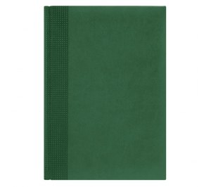 Недатированный ежедневник VELVET 650U (5451) 145x205 мм зеленый