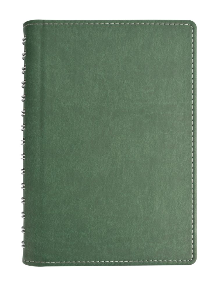 Ежедневник Semi, недатированный, зеленый