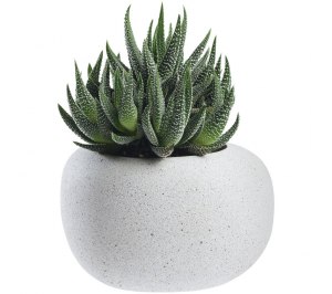  Share-On-Stone