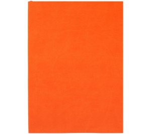 Ежедневник Flat Light, недатированный, оранжевый