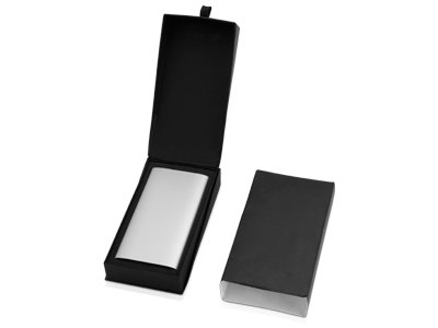 Портативное зарядное устройство с 2-мя USB-портами, 8000 mAh, серебристый