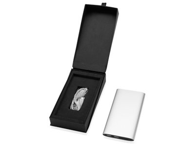 Портативное зарядное устройство с 2-мя USB-портами, 8000 mAh, серебристый