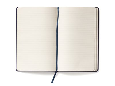   Moleskine Classic ( ), Large (1321), 
