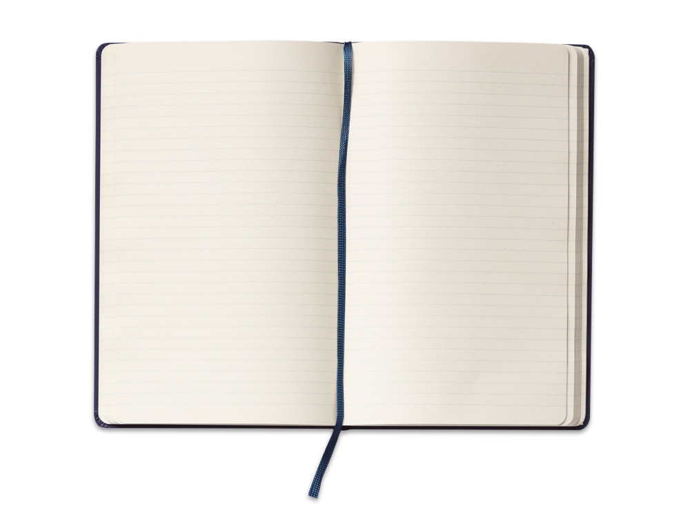   Moleskine Classic ( ), Large (1321), 