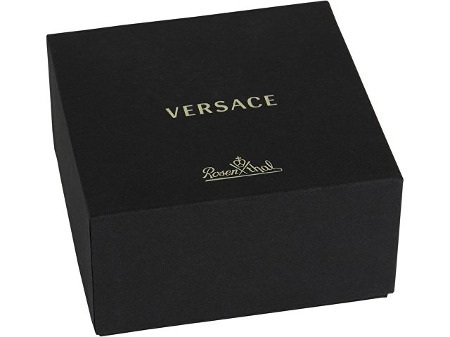   Versace Medusa