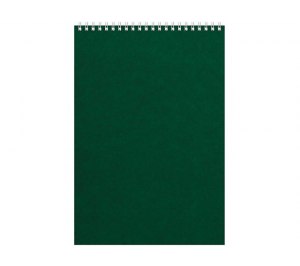 Бизнес - блокнот Альт А4 (198 х 285 мм) Office 60 л., зеленый