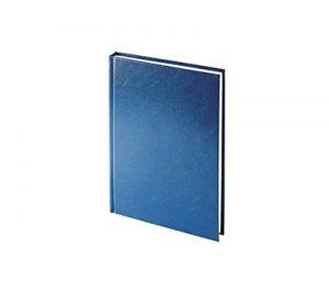 Ежедневник датированный А5 «Ideal New» 2019, синий