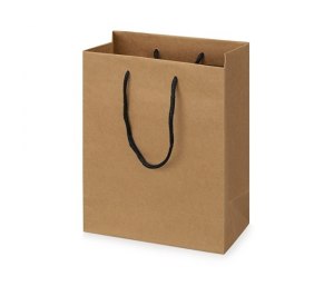 Пакет подарочный Kraft S, 23x30x12 см