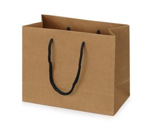 Пакет подарочный Kraft XS, 23x19x10 см