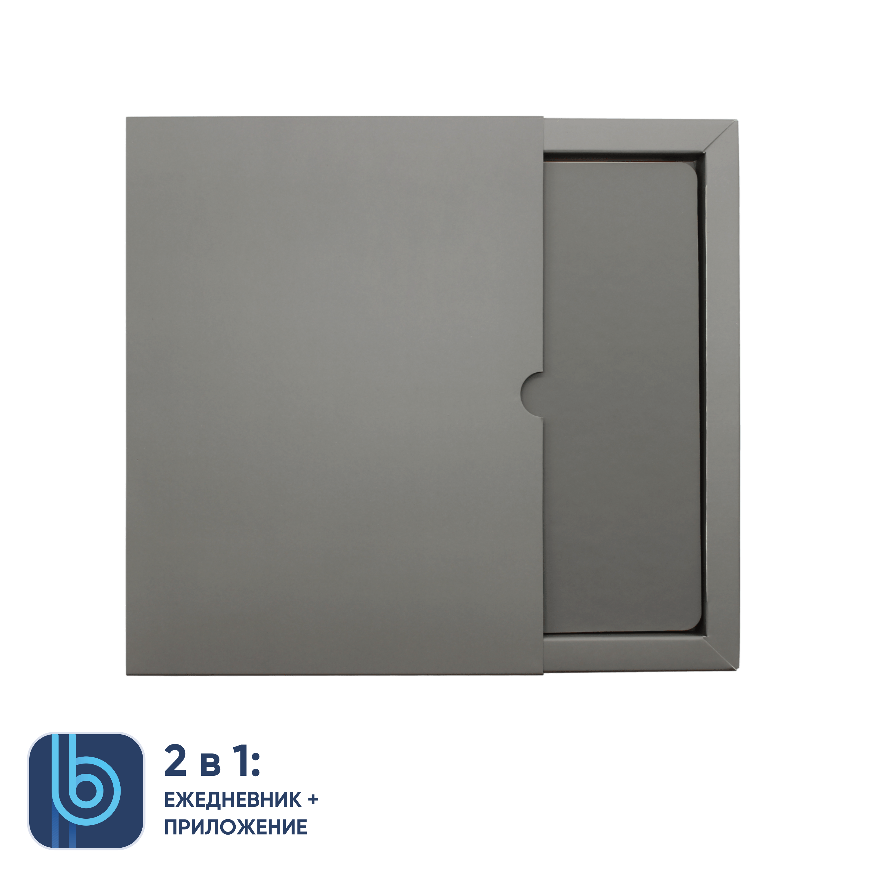 Ежедневник Bplanner.01 в подарочной коробке  (серый)